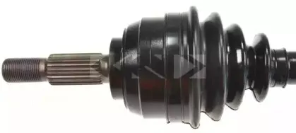 spidan-24880