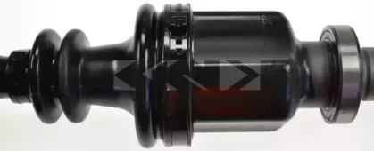 spidan-24880