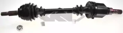 spidan-24881