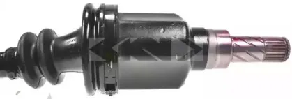 spidan-24881