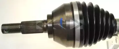 spidan-24905