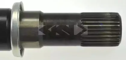 spidan-24905