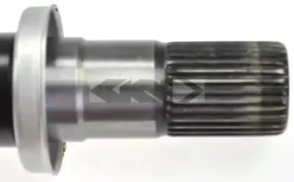 spidan-24906