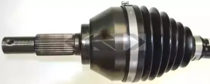 spidan-24907