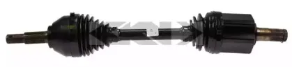 spidan-24919