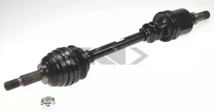 spidan-24944