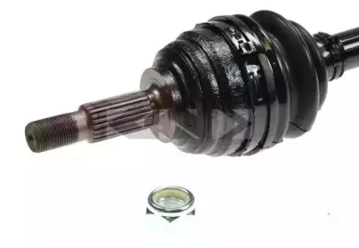 spidan-24944
