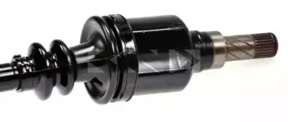 spidan-24944