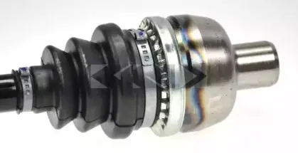 spidan-24953