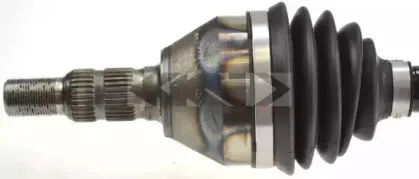 spidan-24965