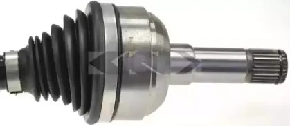 spidan-24965