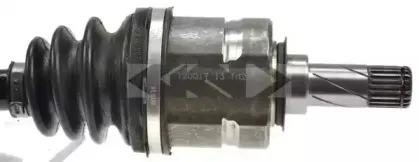 spidan-24971
