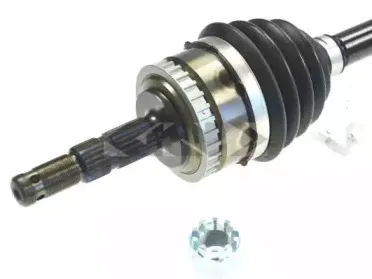 spidan-24972