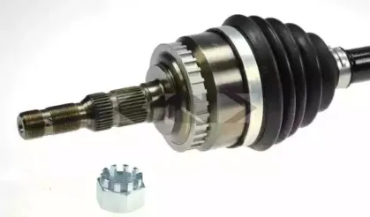 spidan-24974