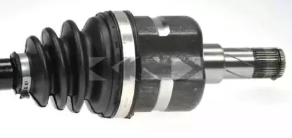 spidan-24974