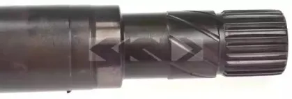 spidan-25015