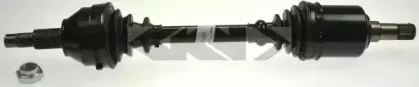 25035 SPIDAN