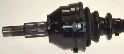 spidan-25035