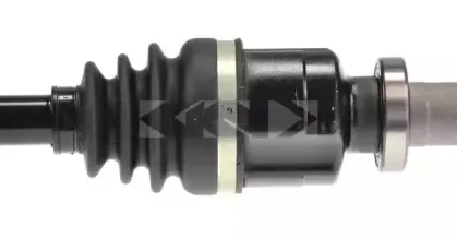 spidan-25095