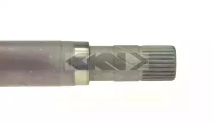 spidan-25095