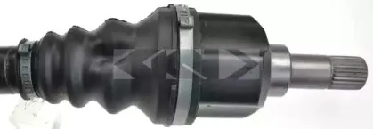 spidan-25116