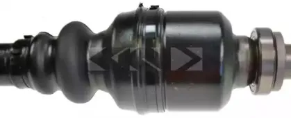 spidan-25126