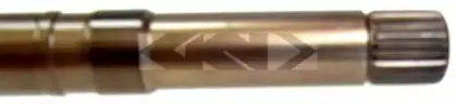 spidan-25126