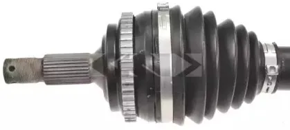 spidan-25173