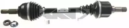 spidan-25174