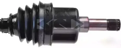 spidan-25180