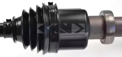 spidan-25181
