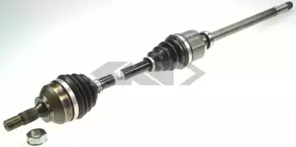 spidan-25183