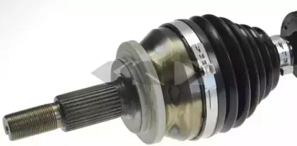 spidan-25203