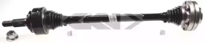 spidan-25218