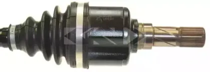 spidan-25226