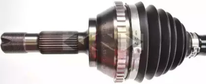 spidan-25244