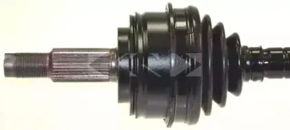 spidan-25262