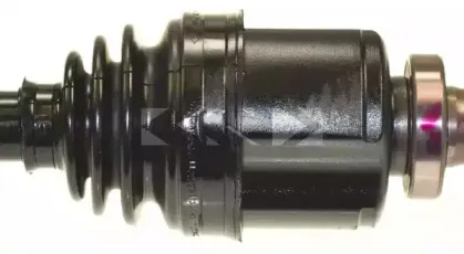 spidan-25262