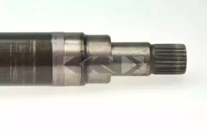 spidan-25264