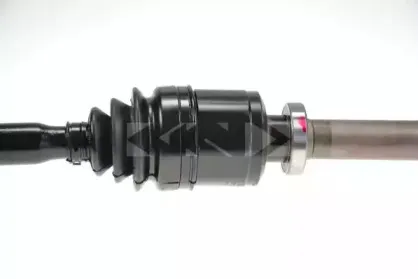 spidan-25318