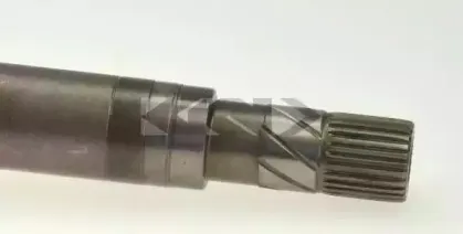 spidan-25318