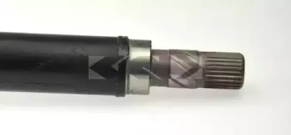 spidan-25337