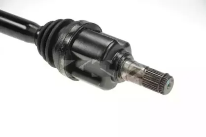 spidan-25351