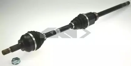 spidan-25440