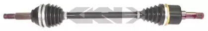 spidan-25487