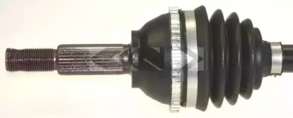 spidan-25487
