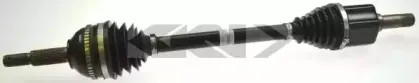 spidan-25488