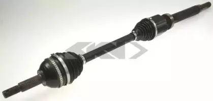 spidan-25489