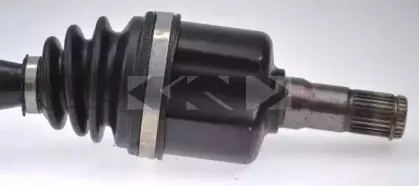 spidan-25553