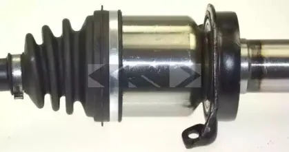 spidan-25599